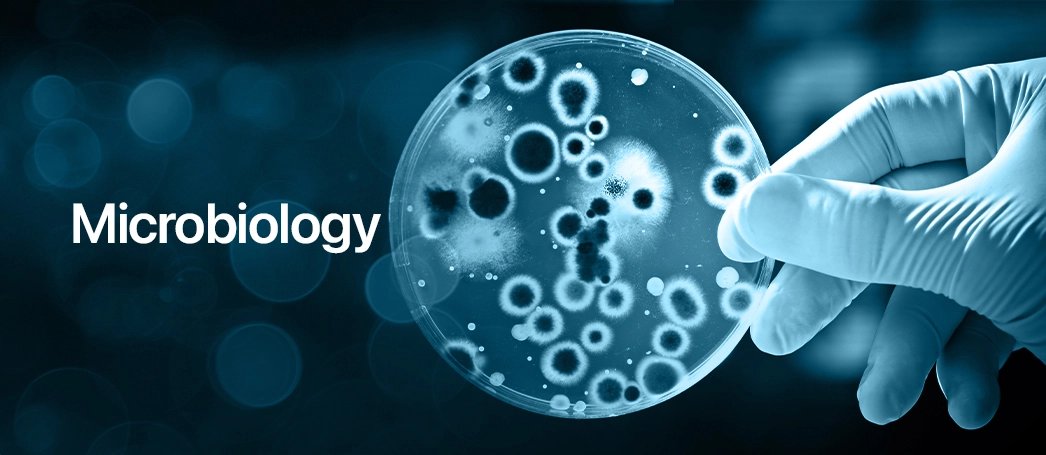 Microbiology Research